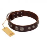 "Choco Brownie" FDT Artisan Brown Leather Bulldog Collar Adorned with Silver-Like Conchos