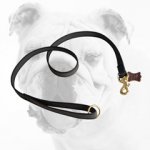 Practical High Quality Training Nylon Bulldog Leash