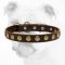 Extraordinary Leather Bulldog Collar With Circles