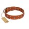 "Tawny Beauty" FDT Artisan Tan Leather Bulldog Collar Adorned with Stars and Tiny Squares
