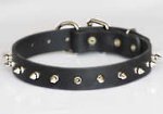 Puppy Spiked Dog Collar- 1 Row of spikes dog collar