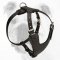 Brilliant Leather Bulldog Harness with a Soft Chest Plate