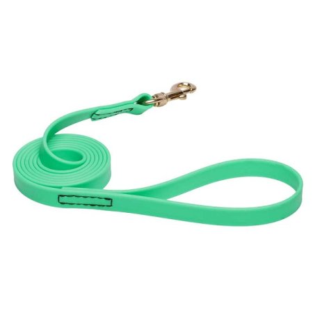 Green Waterproof Bulldog Leash Made of Biothane