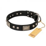 "Pirates Gold" FDT Artisan Black Leather Bulldog Collar with Old Silver Look Plates and Skulls