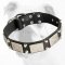 War Decorated Leather Bulldog Collar