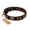 "Magic Amulet" Brown Leather Bulldog Collar with Skulls and Plates