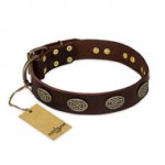 "Chocolate kiss" FDT Artisan Leather Bulldog Collar with Old Bronze Look Oval Plates