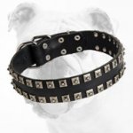 Adjustable Leather Bulldog Collar with Studs for Training