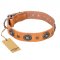 "Twinkle Twinkle" FDT Artisan Incredible Studded Tan Leather Bulldog Collar