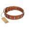 "Luxurious Necklace" FDT Artisan Tan Leather Bulldog Collar with Silver-Like Adornments