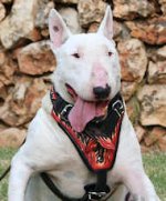 Bull Tterrier designer leather dog harness- Hand painted harness