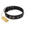 "Century Silver" Designer Handmade FDT Artisan Black Leather Bulldog Collar