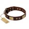 "Shining Armour" FDT Artisan Brown Leather Bulldog Collar with Decorations