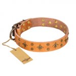 'Top-Flight' FDT Artisan Adorned Tan Leather Bulldog Collar