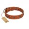 "Rebellious Nature" FDT Artisan Tan Leather Bulldog Collar Embellished with Crossbones and Square Studs