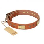 "Enchanting Spectacle" FDT Artisan Tan Leather Bulldog Collar with Old Bronze Look Plates and Round Studs