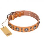 'Extra Sparkle' FDT Artisan Bulldog Tan Leather Dog Collar