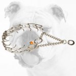 Stainless Steel Bulldog Pinch Collar for Effective Training