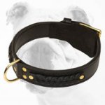 Gorgeous Wide 2 Ply Leather Dog Collar - Braided Leather Collar