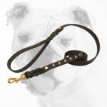 Remarkable Studded Leather Bulldog Leash for Walking and Tracking
