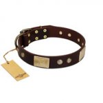 "Middle Age" FDT Artisan Brown Leather Bulldog Collar with Old Bronze-Plated Engraved Flowers and Large Plates
