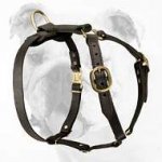 Luxury Handcrafted Leather Bulldog Harness