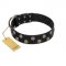 "Egyptian Style" Handcrafted FDT Artisan Black Leather Bulldog Collar with Medallions