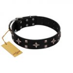 "Snappy Dresser" FDT Artisan Black Leather Bulldog Collar Adorned with Stars and Tiny Squares