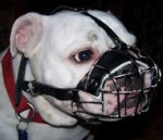 Durable British Bulldog Wire Cage Muzzle