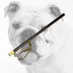 Bulldog Agitation Stick for Schutzhund Training