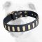 Exclusive Durable Leather Bulldog Collar with Brass Vertical Plates