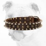 3 Rows Spiked and Studded Leather Bulldog Collar