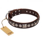 "Pierian spring" FDT Artisan Brown Leather Bulldog Collar with Silvery Decorations