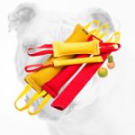 French Linen Bulldog Training Set