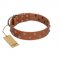 "Waltz of the Flowers" Handmade FDT Artisan Tan Leather Bulldog Collar with Chrome-plated Engraved Studs