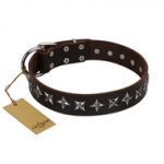 "Stars of Glory" FDT Artisan Brown Leather Bulldog Collar for Comfortable Walking