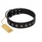 "Silent Star" Handmade FDT Artisan Designer Black Leather Bulldog Collar with Engraved Plates