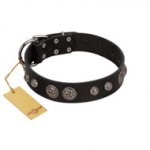 "Tricky Ricky" FDT Artisan Black Leather Bulldog Collar Adorned with Silver-Like Conchos