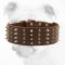 Handcrafted Leather Bulldog Collar with Spikes and Pyramids