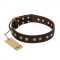 "Bronze Sheen" FDT Artisan Leather Bulldog Collar with Brass-Plated Studs