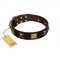 "Crazy Pirate" FDT Artisan Brown Leather Bulldog Collar with Old Bronze-Plated Skulls and Plates
