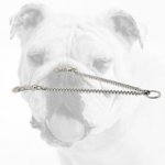 Chrome Plated Steel Bulldog Coupler