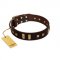 "Choco Delight" FDT Artisan Brown Leather Bulldog Collar with Old Bronze-like Plates and Studs