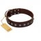 "Kingly Grace" FDT Artisan Brown Leather Bulldog Collar with Silver-like Dotted Studs
