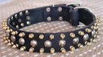 Three Rows with brass Leather Spikes and Studded Dog Collar S57