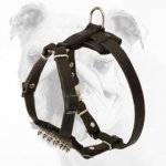 Excellent Quality Adjustable Leather Bulldog Puppy Harness