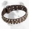 Reliable Leather Bulldog Collar with Brass Studs and Nickel Pyramids