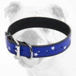 Hand-painted American Pride Leather Bulldog Collar
