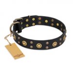 "Cosmic Glow" FDT Artisan Black Leather Bulldog Collar with Brass-Plated Studs