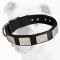 Reliable Nylon Bulldog Collar With Vintage Plates